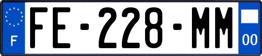 FE-228-MM