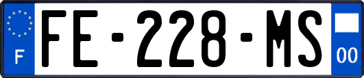 FE-228-MS