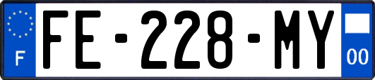 FE-228-MY