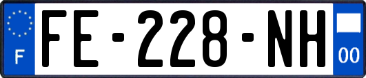 FE-228-NH