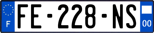 FE-228-NS