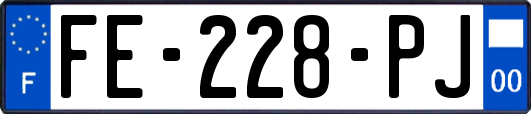 FE-228-PJ