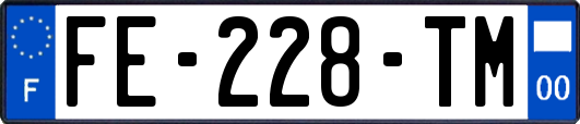 FE-228-TM