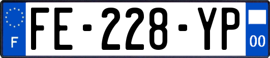 FE-228-YP