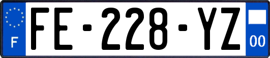 FE-228-YZ