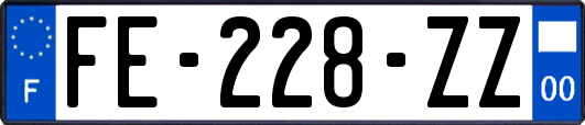 FE-228-ZZ