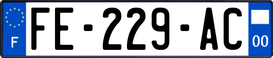 FE-229-AC