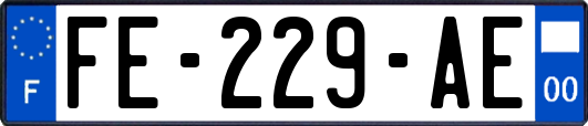 FE-229-AE