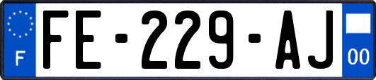 FE-229-AJ