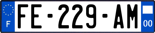 FE-229-AM