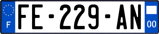 FE-229-AN