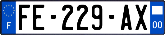 FE-229-AX