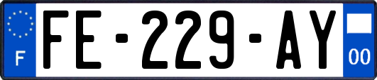 FE-229-AY