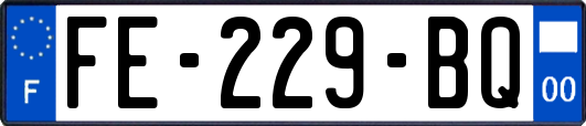 FE-229-BQ