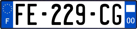 FE-229-CG