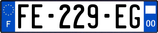FE-229-EG