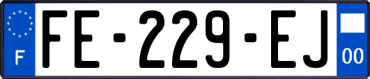 FE-229-EJ