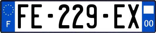 FE-229-EX