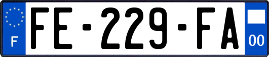 FE-229-FA