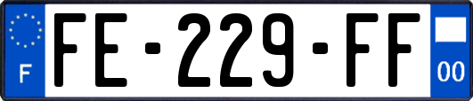 FE-229-FF