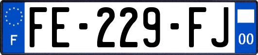 FE-229-FJ