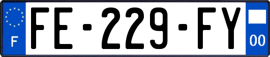 FE-229-FY