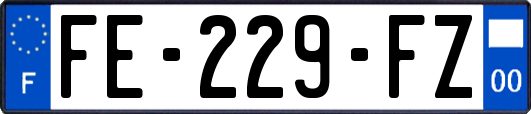 FE-229-FZ