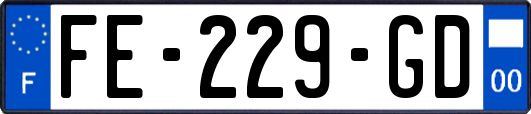 FE-229-GD