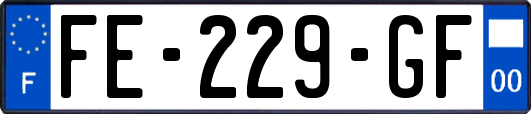 FE-229-GF