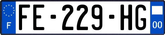 FE-229-HG