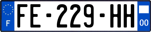 FE-229-HH