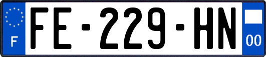 FE-229-HN