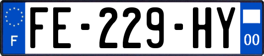 FE-229-HY