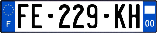 FE-229-KH