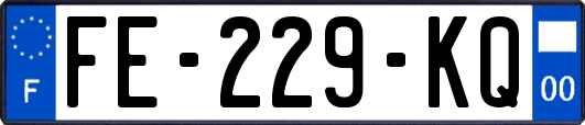 FE-229-KQ