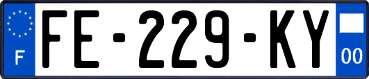 FE-229-KY