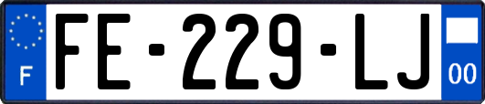 FE-229-LJ