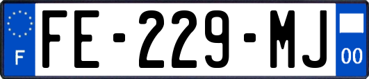 FE-229-MJ
