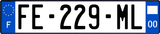 FE-229-ML