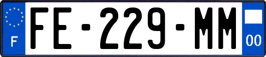 FE-229-MM