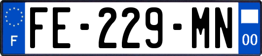 FE-229-MN