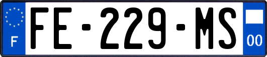 FE-229-MS