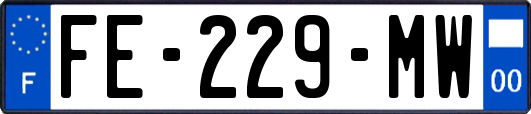 FE-229-MW