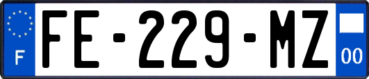 FE-229-MZ