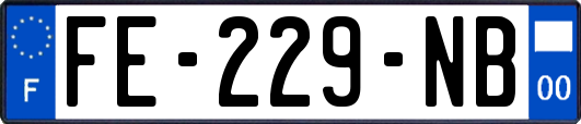 FE-229-NB