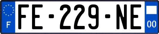 FE-229-NE