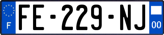 FE-229-NJ