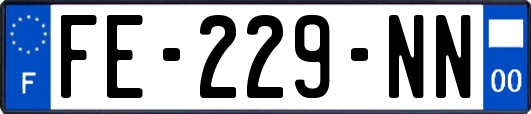 FE-229-NN