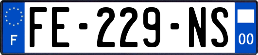 FE-229-NS