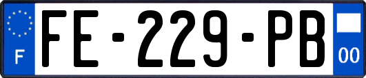 FE-229-PB